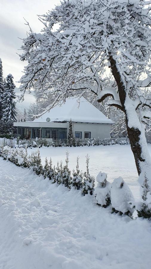 Bambu Lodge @ Ossiachersee Боденсдорф Екстериор снимка